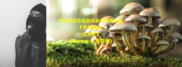 шишки Абинск