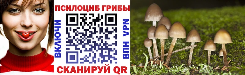 Псилоцибиновые грибы Psilocybe наркотики Егорьевск